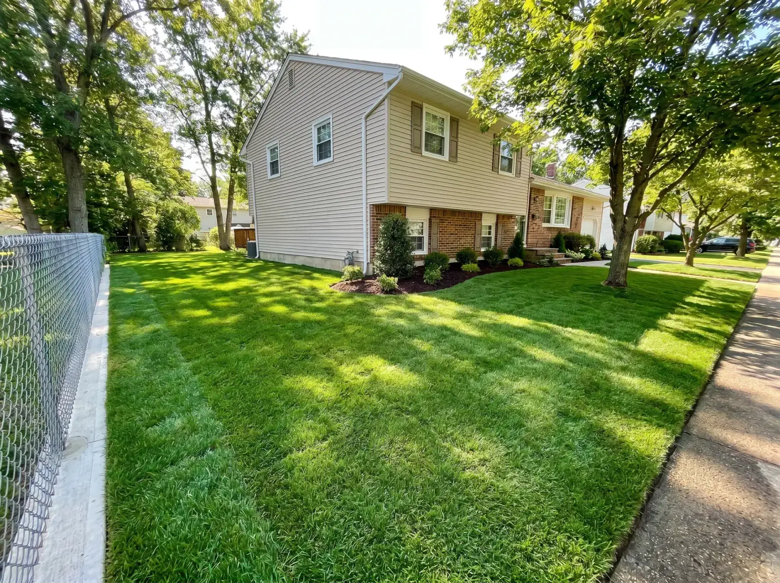 After lawn replacement in Before and after