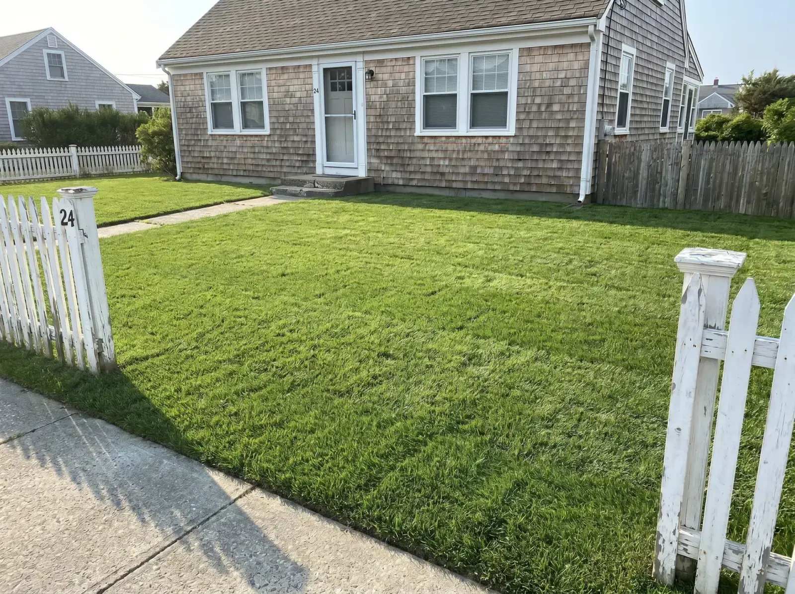 After lawn replacement in Before and after