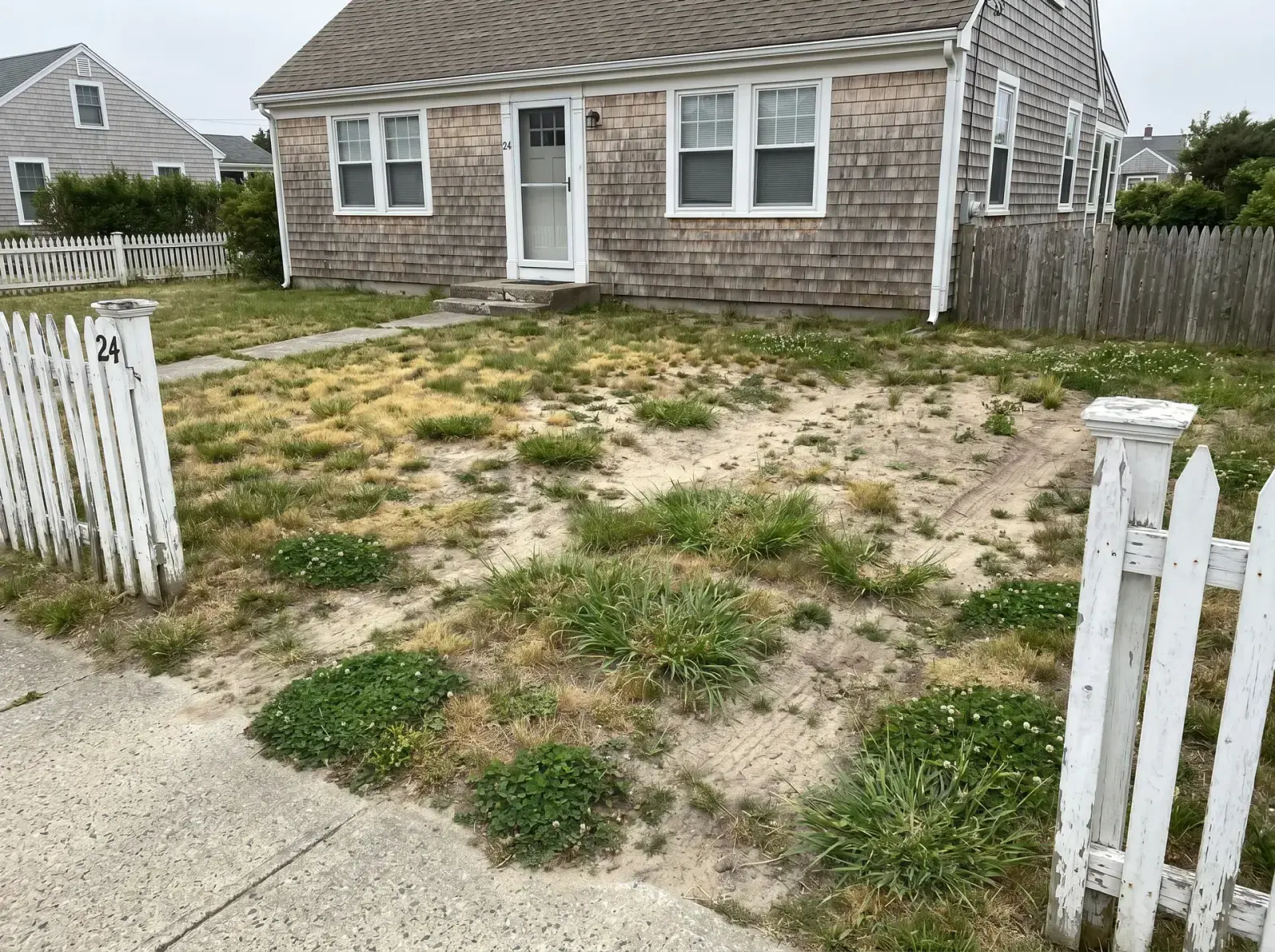 Before lawn replacement in Before and after